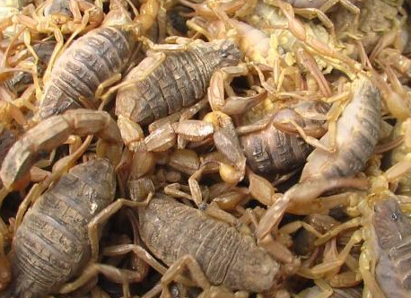 合肥小區(qū)開荒保潔要注意哪些事項(xiàng)呢？